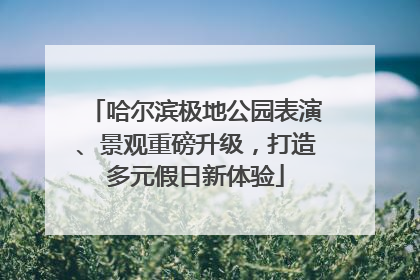 哈尔滨极地公园表演、景观重磅升级，打造多元假日新体验