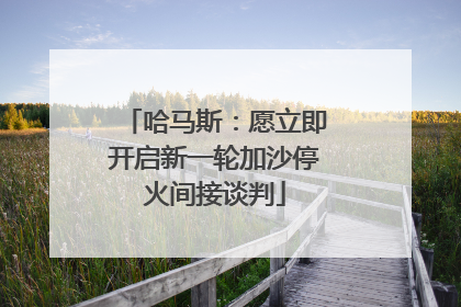 哈马斯：愿立即开启新一轮加沙停火间接谈判