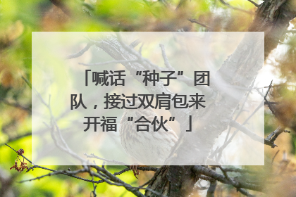 喊话“种子”团队，接过双肩包来开福“合伙”