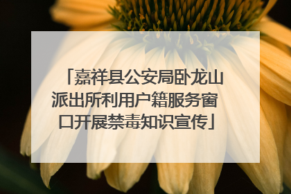 嘉祥县公安局卧龙山派出所利用户籍服务窗口开展禁毒知识宣传