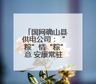 国网确山县供电公司：“粽”情“粽”意 安康常驻端午