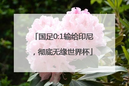 国足0:1输给印尼，彻底无缘世界杯