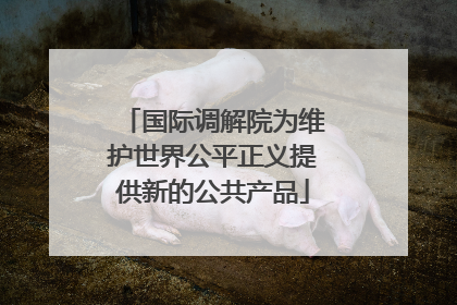 国际调解院为维护世界公平正义提供新的公共产品