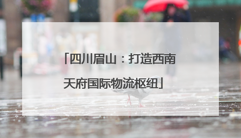 四川眉山：打造西南天府国际物流枢纽