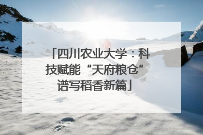 四川农业大学：科技赋能“天府粮仓”谱写稻香新篇