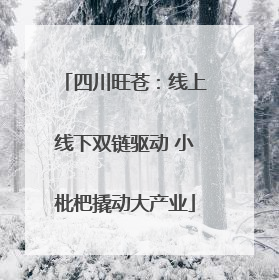 四川旺苍：线上线下双链驱动 小枇杷撬动大产业