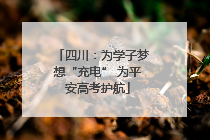 四川：为学子梦想“充电” 为平安高考护航