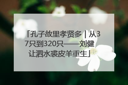 孔子故里孝贤多｜从37只到320只——刘健让泗水裘皮羊重生