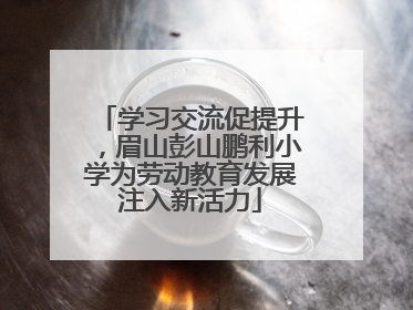 学习交流促提升，眉山彭山鹏利小学为劳动教育发展注入新活力