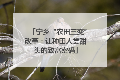 宁乡“农田三变”改革：让种田人尝甜头的致富密码