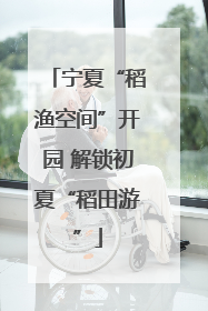 宁夏“稻渔空间”开园 解锁初夏“稻田游”