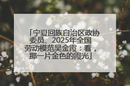宁夏回族自治区政协委员、2025年全国劳动模范吴金霞：看，那一片金色的霞光