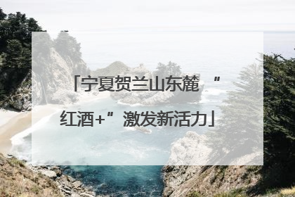 宁夏贺兰山东麓 “红酒+”激发新活力