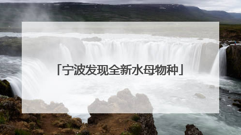 宁波发现全新水母物种