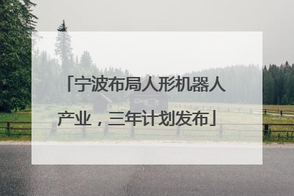 宁波布局人形机器人产业，三年计划发布