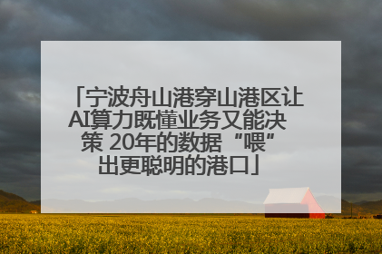 宁波舟山港穿山港区让AI算力既懂业务又能决策 20年的数据“喂”出更聪明的港口