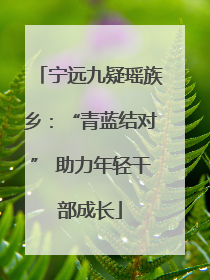 宁远九疑瑶族乡：“青蓝结对” 助力年轻干部成长