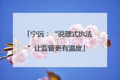 宁远：“说理式执法”让监管更有温度