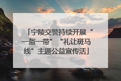 宁陵交警持续开展“一盔一带”“礼让斑马线”主题公益宣传活