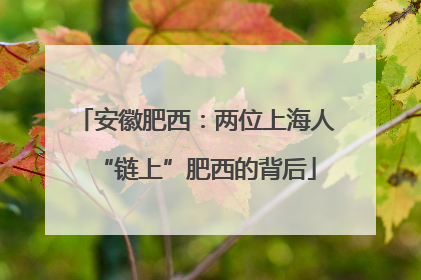 安徽肥西：两位上海人“链上”肥西的背后