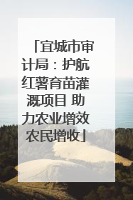 宜城市审计局：护航红薯育苗灌溉项目 助力农业增效农民增收