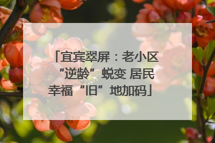 宜宾翠屏：老小区“逆龄”蜕变 居民幸福“旧”地加码