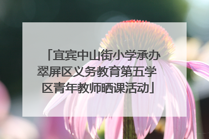 宜宾中山街小学承办翠屏区义务教育第五学区青年教师晒课活动