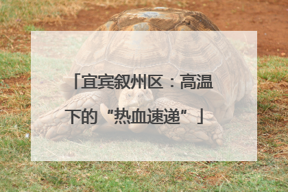 宜宾叙州区：高温下的“热血速递”