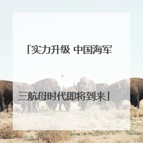 实力升级 中国海军三航母时代即将到来