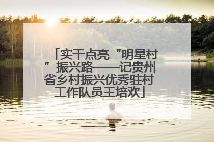 实干点亮“明星村”振兴路——记贵州省乡村振兴优秀驻村工作队员王培欢