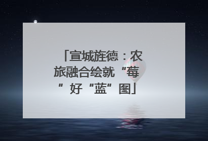 宣城旌德：农旅融合绘就“莓”好“蓝”图