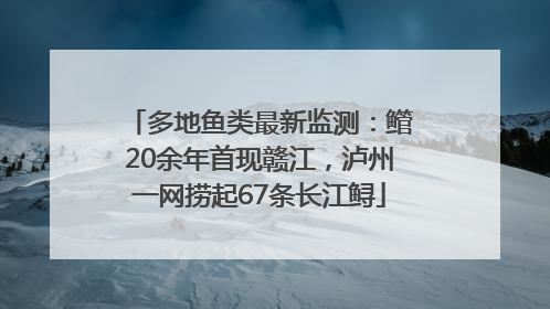 多地鱼类最新监测：鳤20余年首现赣江，泸州一网捞起67条长江鲟