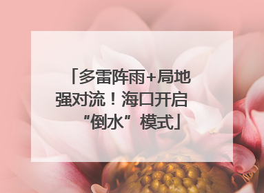 多雷阵雨+局地强对流！海口开启“倒水”模式