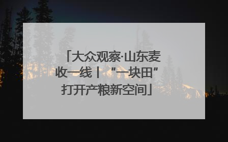 大众观察·山东麦收一线丨“一块田”打开产粮新空间