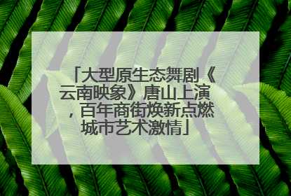大型原生态舞剧《云南映象》唐山上演，百年商街焕新点燃城市艺术激情