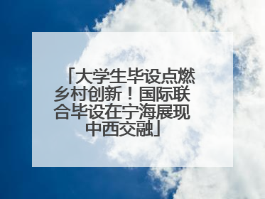 大学生毕设点燃乡村创新！国际联合毕设在宁海展现中西交融