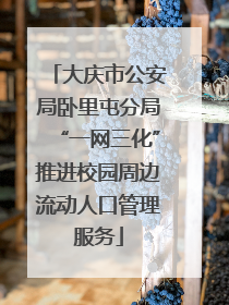 大庆市公安局卧里屯分局“一网三化”推进校园周边流动人口管理服务