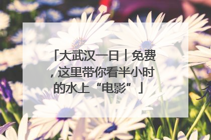 大武汉一日︱免费，这里带你看半小时的水上“电影”