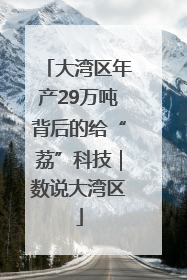 大湾区年产29万吨背后的给“荔”科技｜数说大湾区