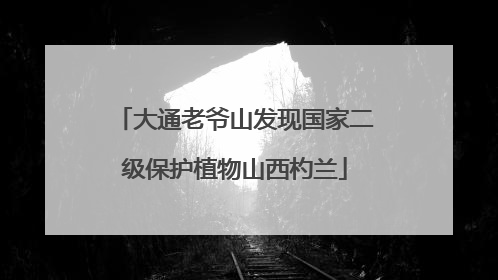 大通老爷山发现国家二级保护植物山西杓兰
