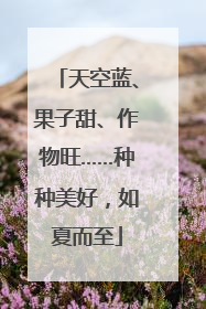 天空蓝、果子甜、作物旺……种种美好，如夏而至