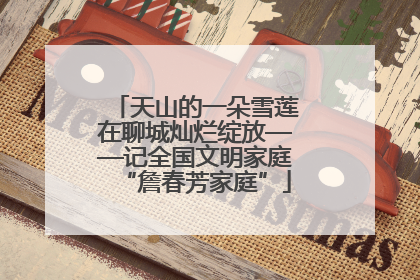 天山的一朵雪莲在聊城灿烂绽放——记全国文明家庭“詹春芳家庭”