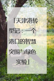 天津港转型记：一个港口的智慧突围与绿色实验