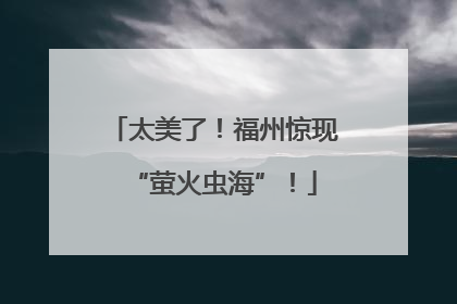 太美了！福州惊现“萤火虫海”！