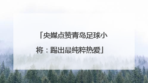 央媒点赞青岛足球小将：踢出最纯粹热爱