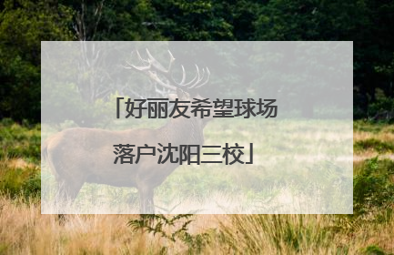 好丽友希望球场落户沈阳三校
