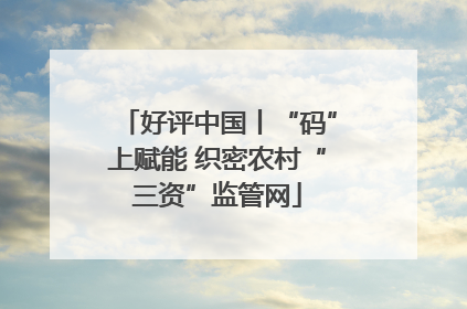 好评中国丨“码”上赋能 织密农村“三资”监管网