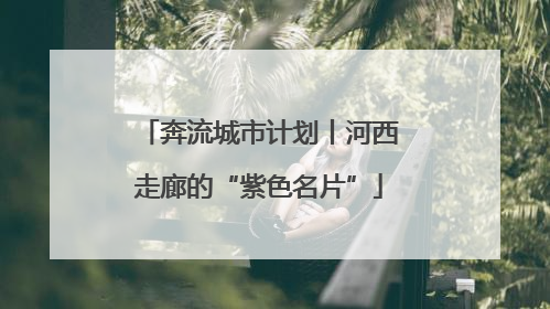 奔流城市计划丨河西走廊的“紫色名片”