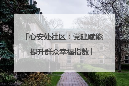 心安处社区：党建赋能 提升群众幸福指数
