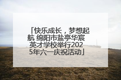 快乐成长，梦想起航 绵阳市盐亭华宸英才学校举行2025年六一庆祝活动